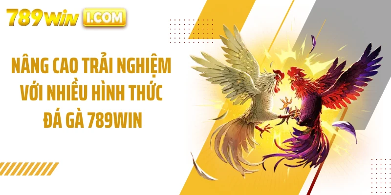 Nâng cao trải nghiệm với nhiều hình thức đá gà 789WIN