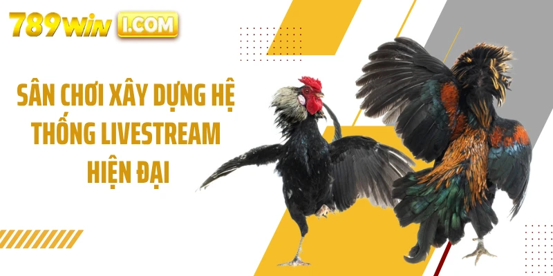 Sân chơi xây dựng hệ thống livestream hiện đại